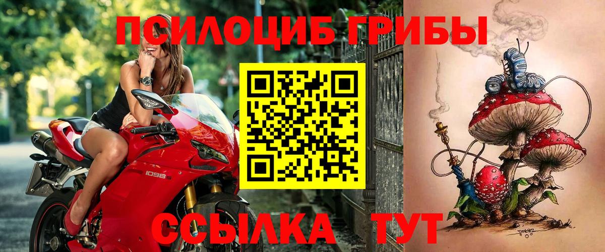 Галлюциногенные грибы GOLDEN TEACHER Котовск